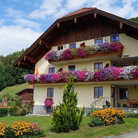 Gesundheitshof Lohninger Villa Mondsee Exterior foto