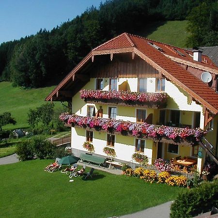 Gesundheitshof Lohninger Villa Mondsee Exterior foto
