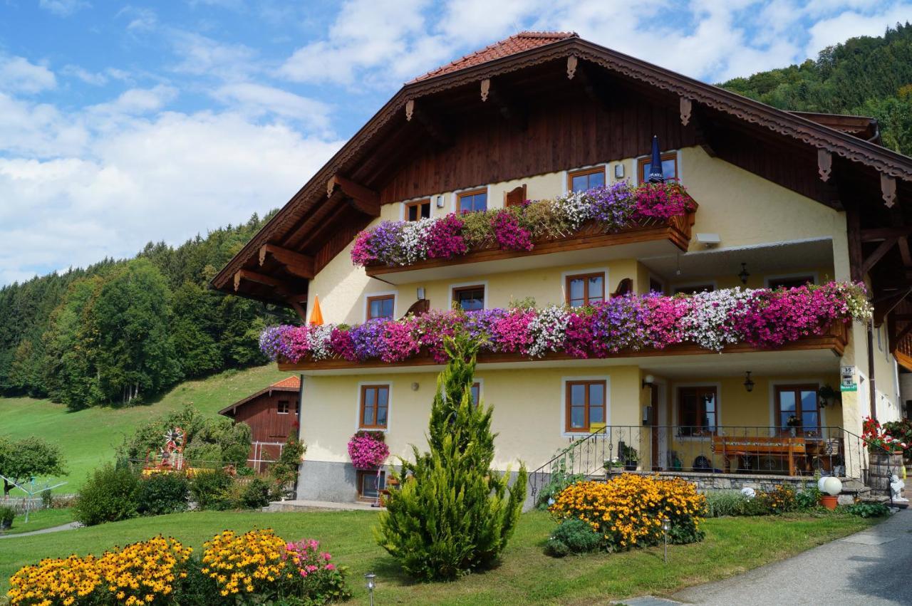 Gesundheitshof Lohninger Villa Mondsee Exterior foto