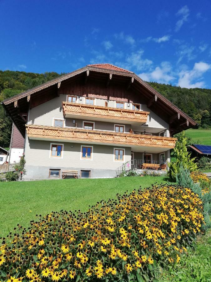 Gesundheitshof Lohninger Villa Mondsee Exterior foto